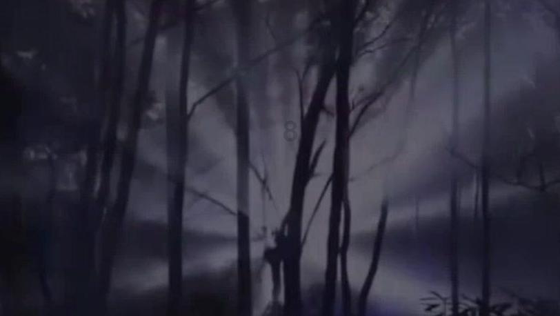 屋里湿度大适合放盆栽植物吗为什么？游戏画面